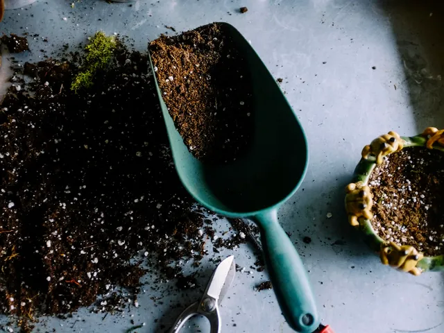 Pala de mano con tierra de compost junto a macetas