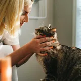 Persona acariciando a un gato junto a una ventana