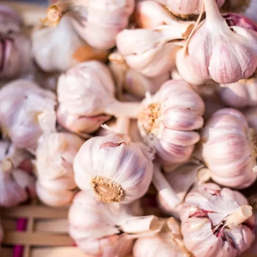 Garlic heads piled in a basket